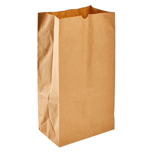 [1,000 ct] 12 lb Paper Bag, Kraft